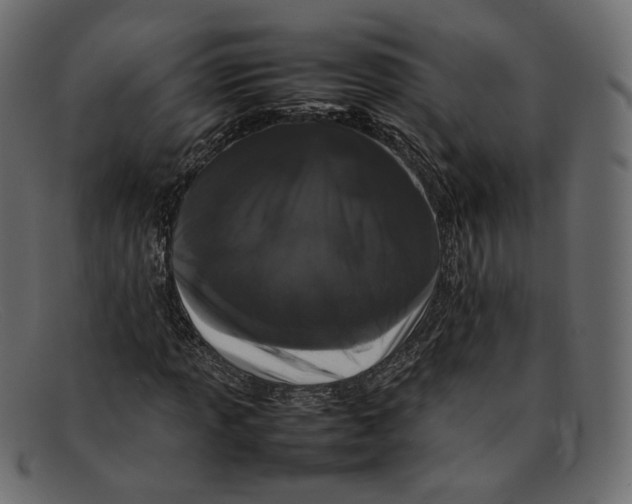 X0000092061013200710101030