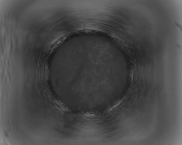 X0000092061014200710101030