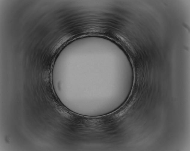 X0000092061017200710101030