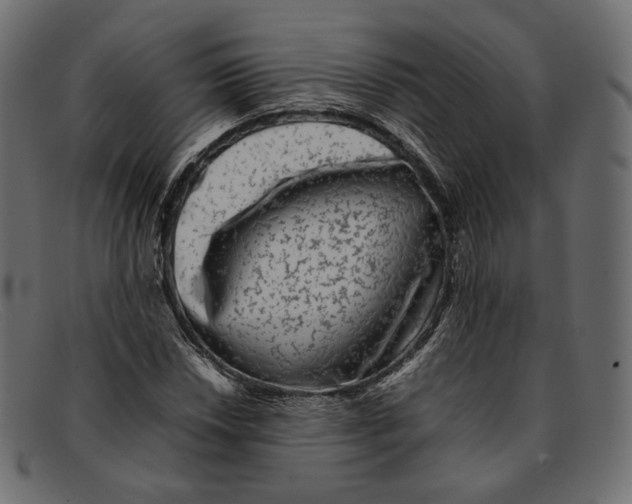 X0000092061018200710101030