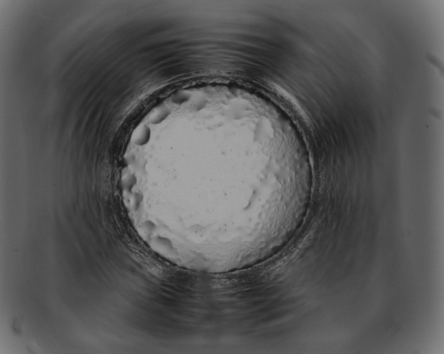 X0000092061019200710101030