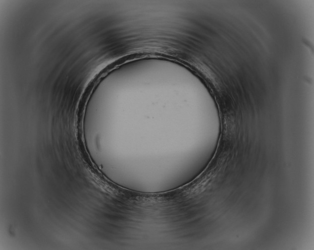 X0000092061020200710101030