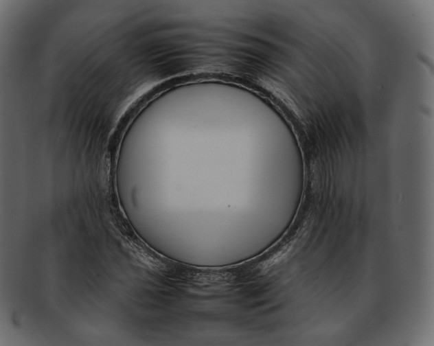 X0000092061021200710101030