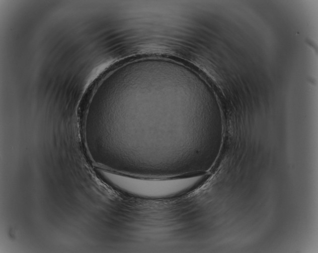 X0000092061022200710101030