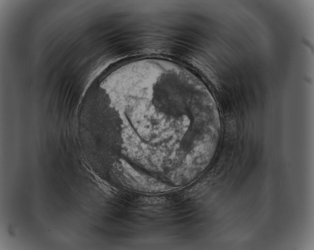 X0000092061023200710101030