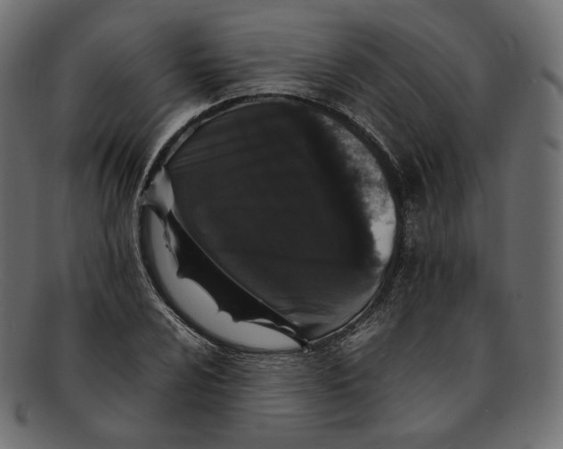 X0000092061024200710101030