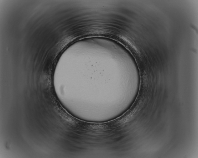 X0000092061025200710101030