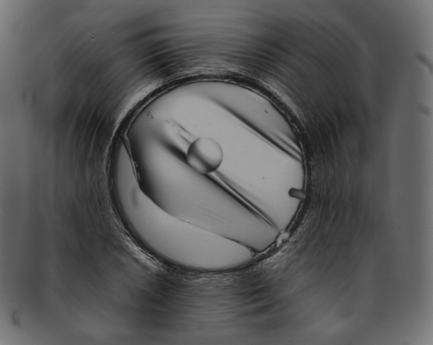 X0000092061026200710101030