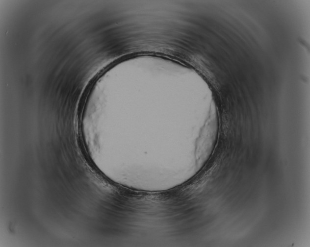 X0000092061028200710101030