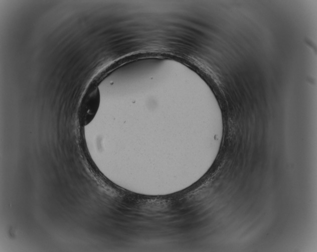 X0000092061029200710101030