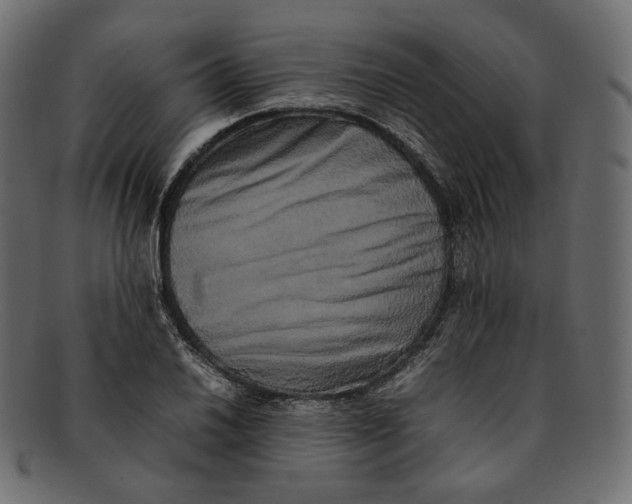 X0000092061030200710101030