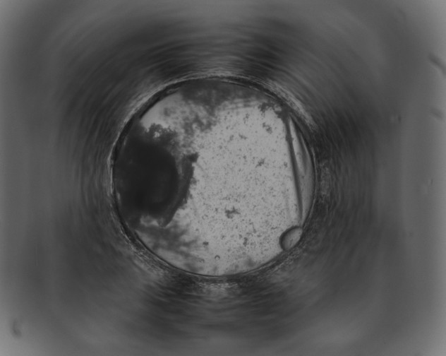 X0000092061031200710101030