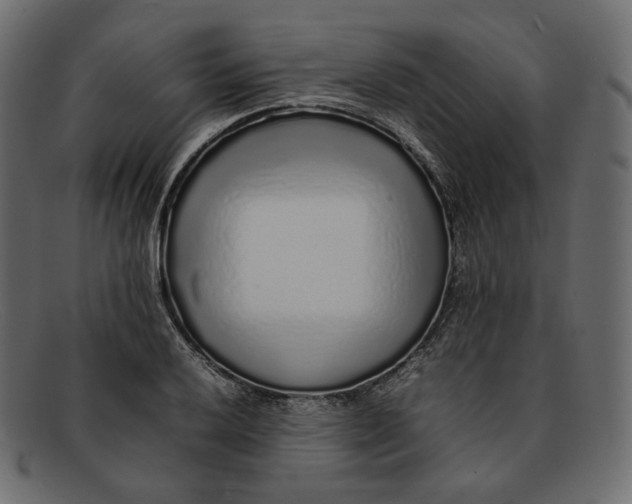 X0000092061032200710101030