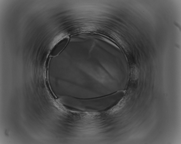 X0000092061034200710101030