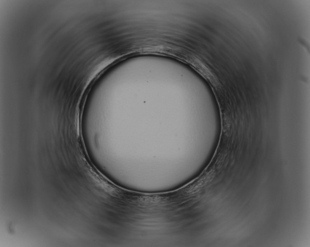 X0000092061036200710101030