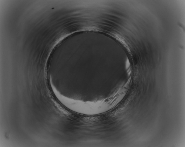 X0000092061037200710101030