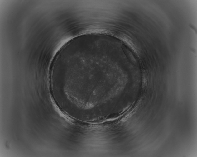 X0000092061038200710101030