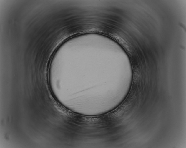 X0000092061039200710101030