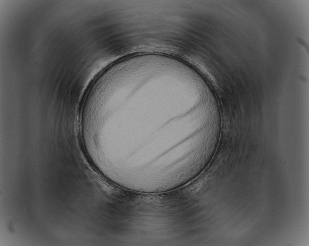 X0000092061040200710101030