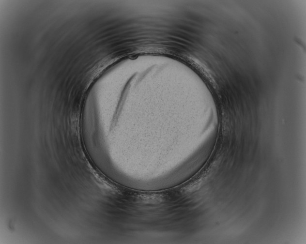 X0000092061041200710101030