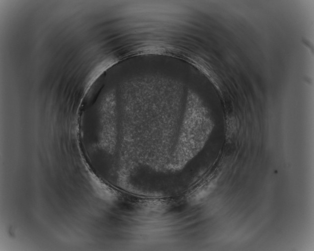 X0000092061042200710101030