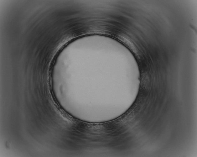 X0000092061043200710101030