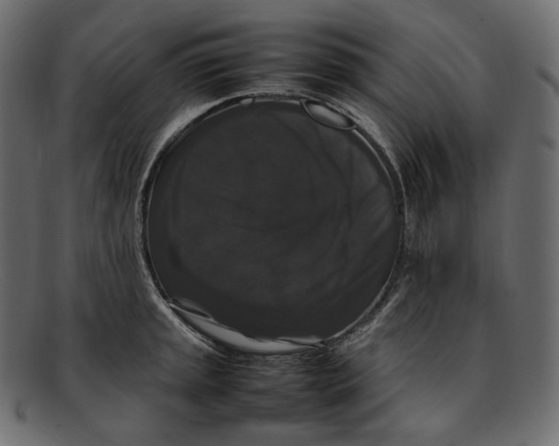 X0000092061045200710101030