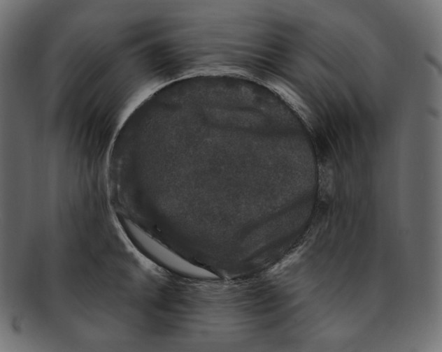 X0000092061046200710101030