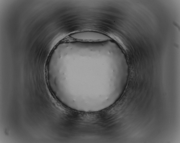 X0000092061047200710101030