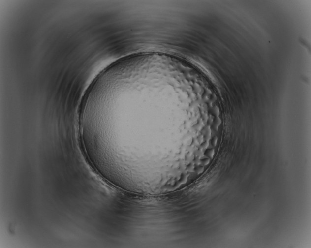 X0000092061048200710101030