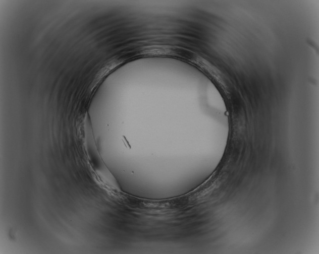 X0000092061049200710101030