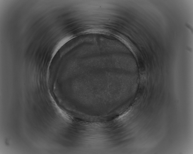 X0000092061050200710101030