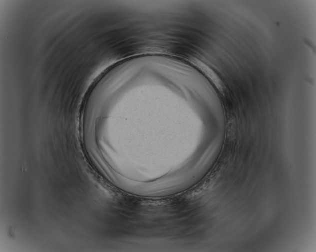 X0000092061051200710101030