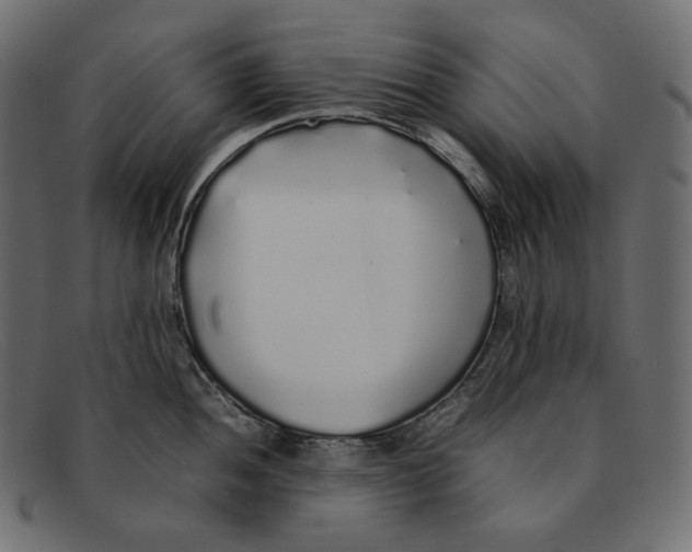 X0000092061052200710101030