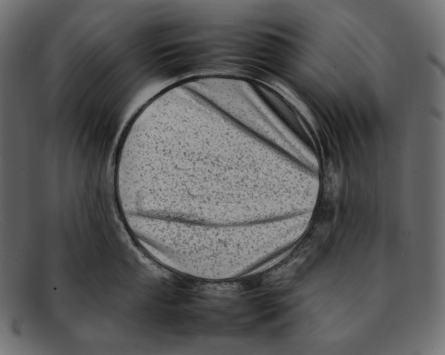 X0000092061053200710101030