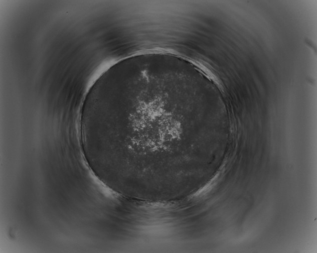 X0000092061054200710101030