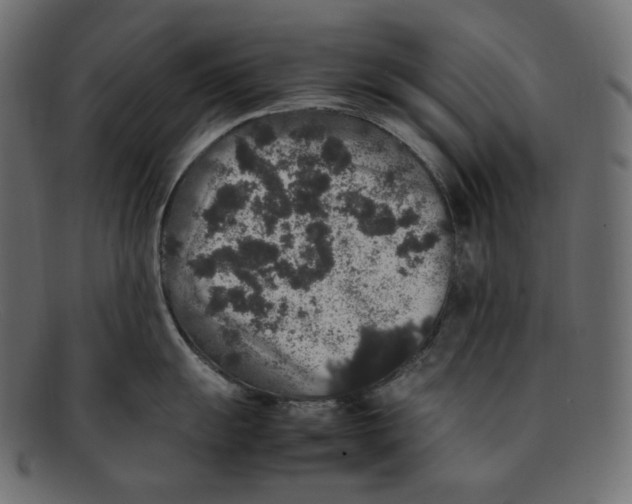 X0000092061055200710101030