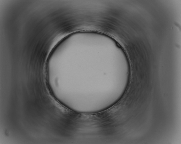 X0000092061056200710101030