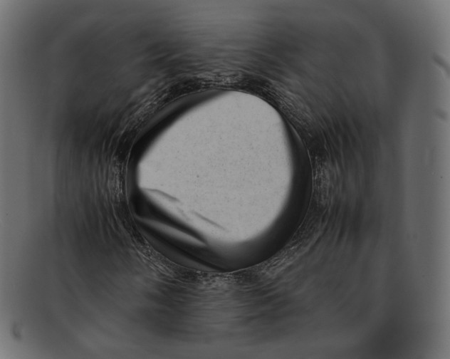 X0000092061058200710101030