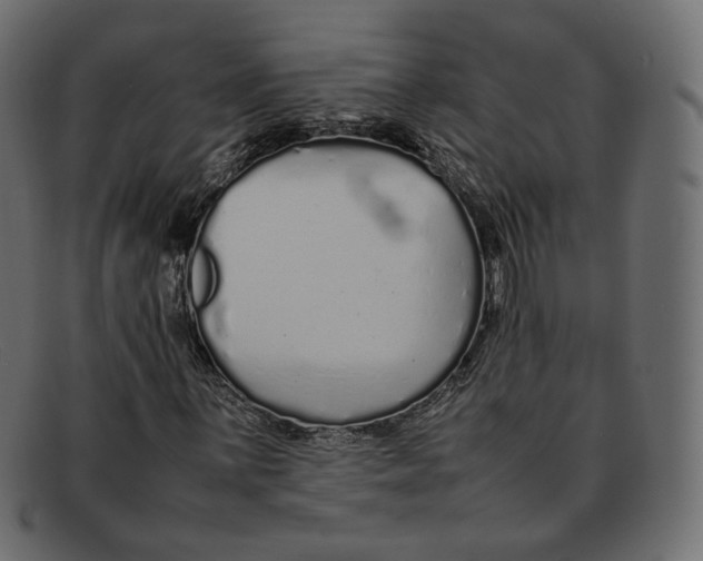 X0000092061059200710101030