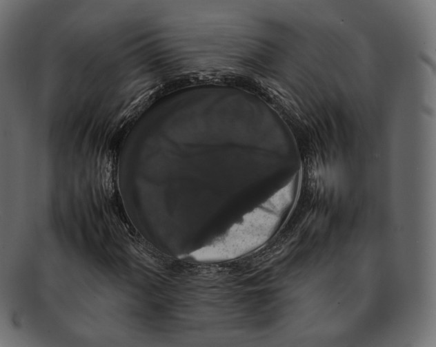 X0000092061060200710101030