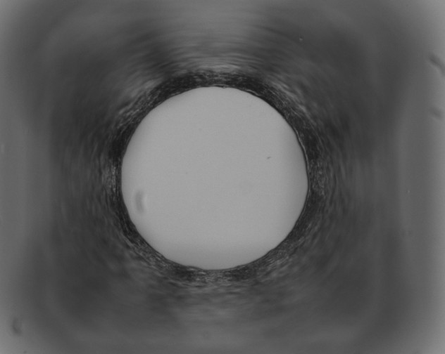 X0000092061061200710101030