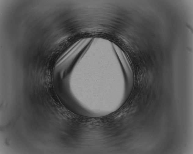 X0000092061062200710101030