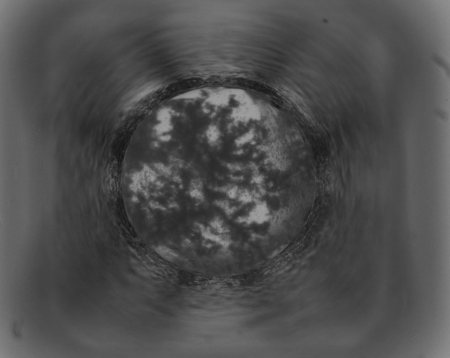 X0000092061063200710101030