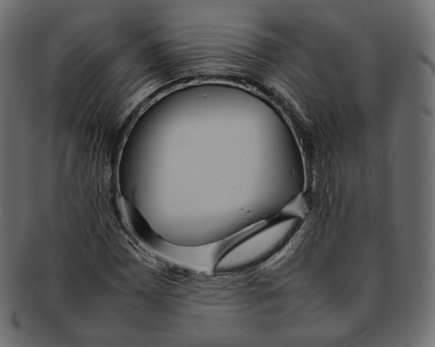 X0000092061065200710101030