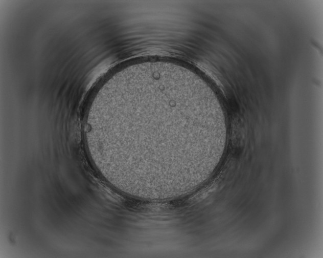 X0000092061067200710101030