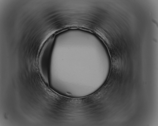 X0000092061068200710101030