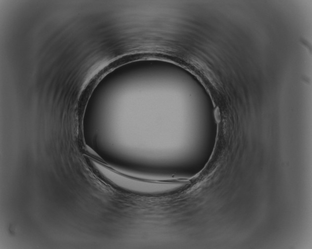 X0000092061069200710101030