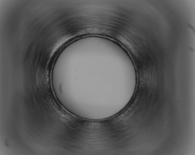 X0000092061070200710101029