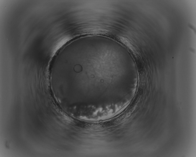 X0000092061071200710101029